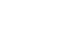 speedy logo